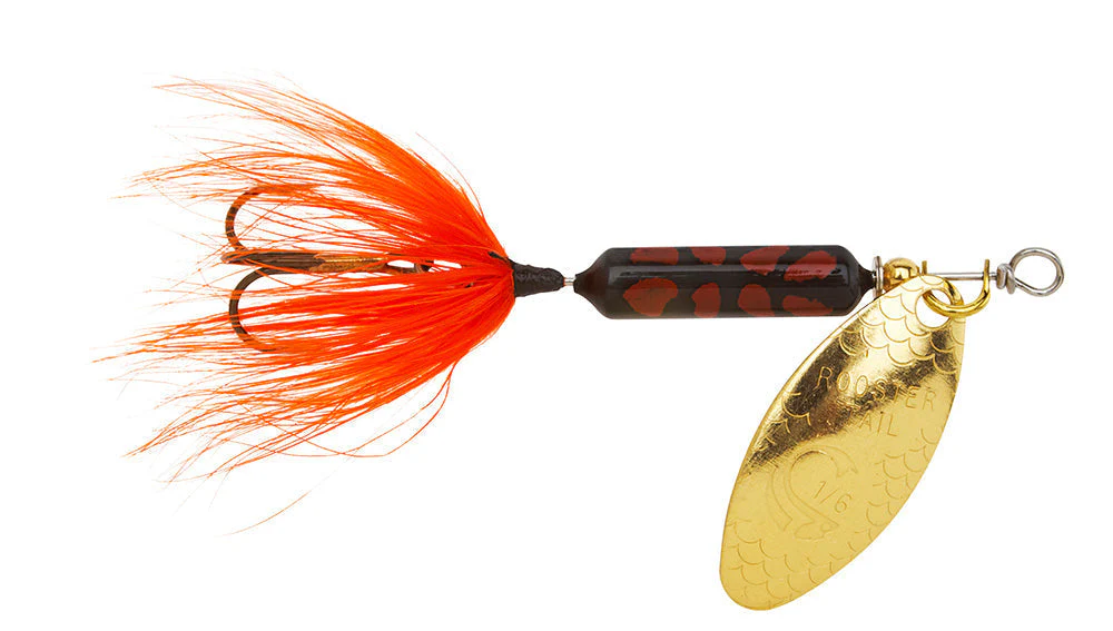 Worden's Original Rooster Tail 1/8 - Image 27